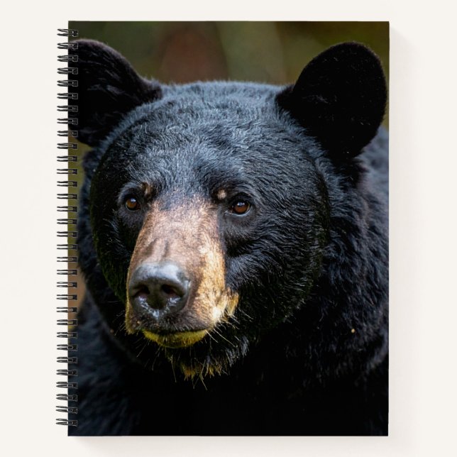 Cuaderno Oso negro (Anverso)