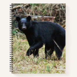 Cuaderno Oso Negro de Florida