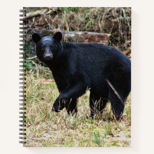 Cuaderno Oso Negro de Florida (Anverso)