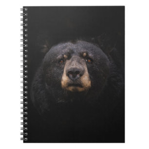 CUADERNO OSO NEGRO EN LA RAMA DE ÁRBOLES DE MADERA MARRÓN