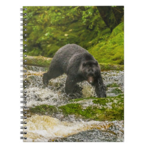 Cuaderno Oso negro pescando   Qua Creek Columbia Británica