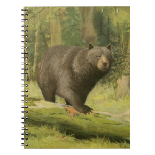 Cuaderno Oso negro pisando un tronco de árbol