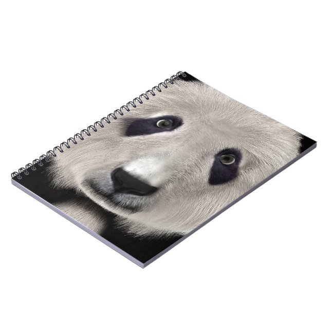 Cuaderno Oso Panda (Lado Izquierdo)