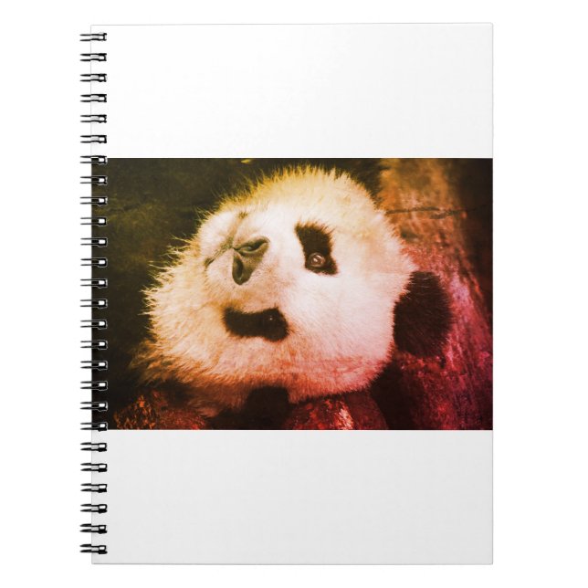 Cuaderno Oso Panda Estilo de Vida producto de moda (Frente)