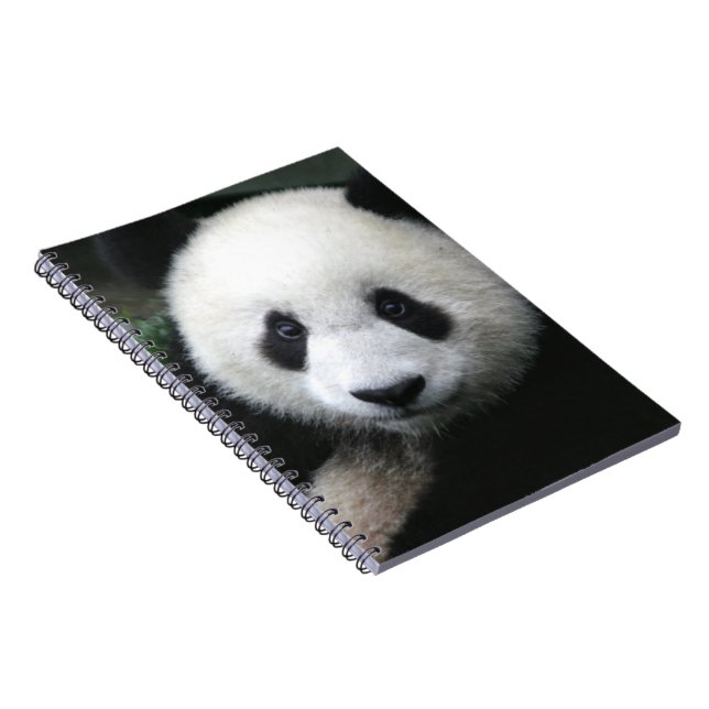 Cuaderno Oso Panda sonriente (Lado Derecho)