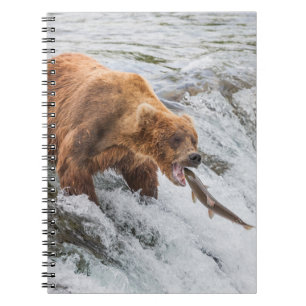 Cuaderno Oso pardo atrapa salmón rojo
