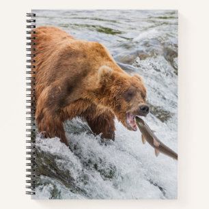 Cuaderno Oso pardo atrapa salmón rojo