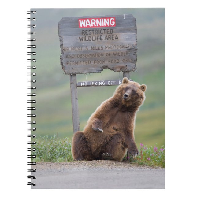 Cuaderno Oso Pardo Juega Con Señal (Frente)