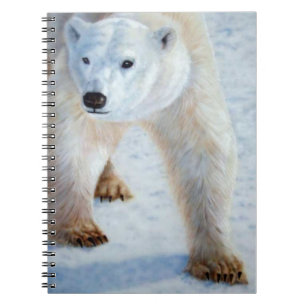 Cuaderno Oso polar