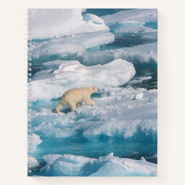 Cuaderno Oso polar caminando por el mar (Anverso)