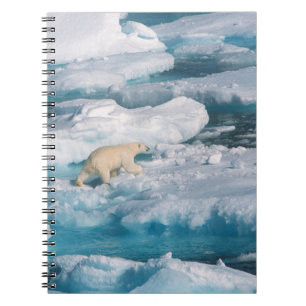Cuaderno Oso polar caminando por el mar