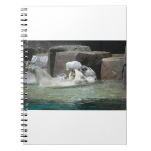 Cuaderno Oso Polar jugando con un jug
