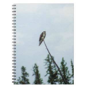 Cuaderno Osprey 9028
