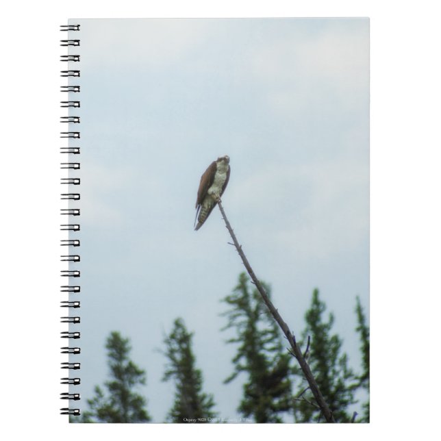 Cuaderno Osprey 9028 (Frente)