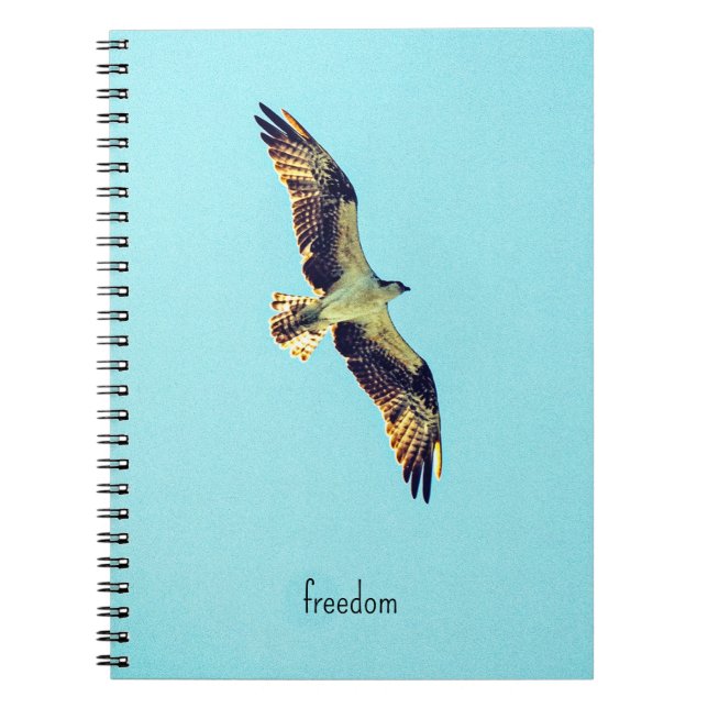 Cuaderno Osprey art (Frente)