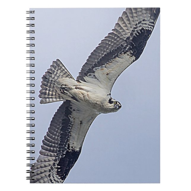Cuaderno Osprey en vuelo (Frente)