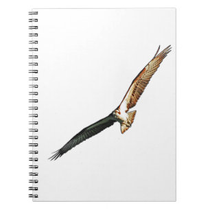 Cuaderno Osprey Flying