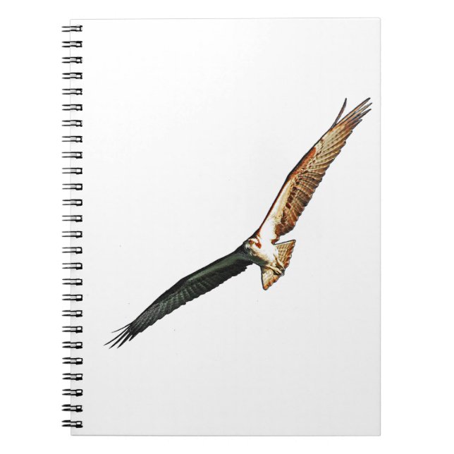 Cuaderno Osprey Flying (Frente)