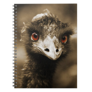 Cuaderno Ostriches Look bloc de notas
