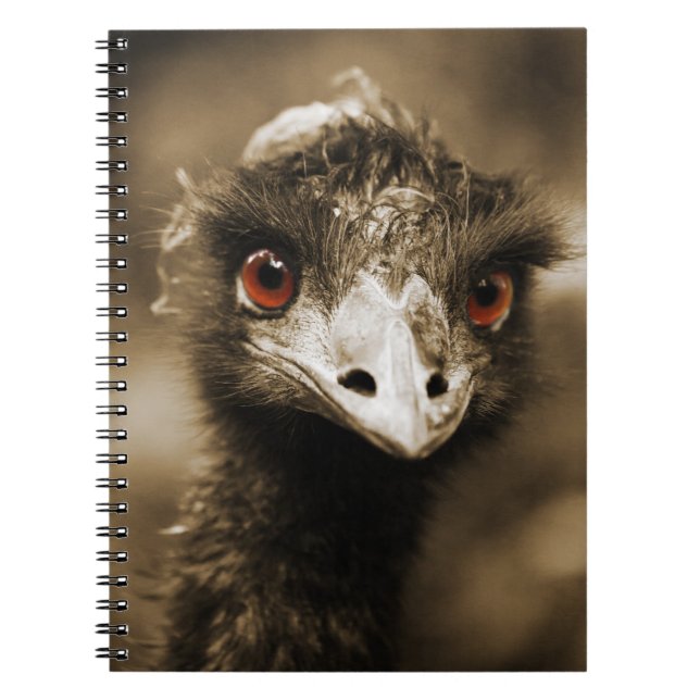 Cuaderno Ostriches Look bloc de notas (Frente)
