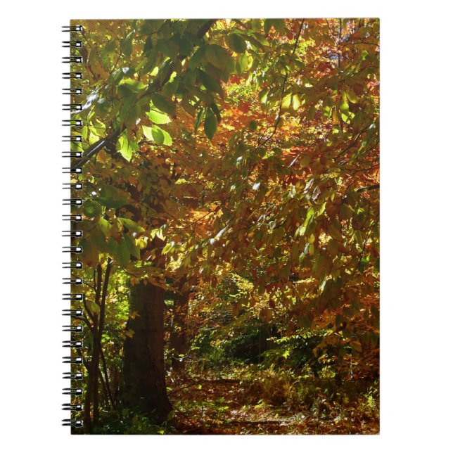 Cuaderno Otoño de otoño II Fotografía de otoño amarilla (Frente)