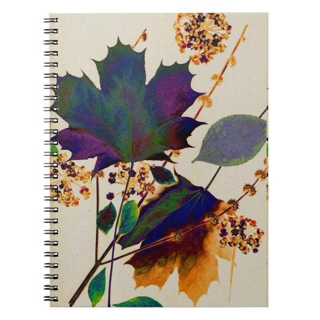 Cuaderno Otoño deja colores reales (Frente)