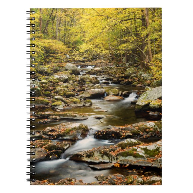 Cuaderno Otoño en Big Creek (Frente)