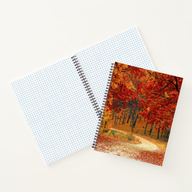 Cuaderno otoño en el bosque (Interior)