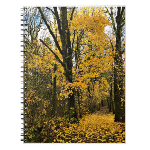 Cuaderno Otoño en el bosque