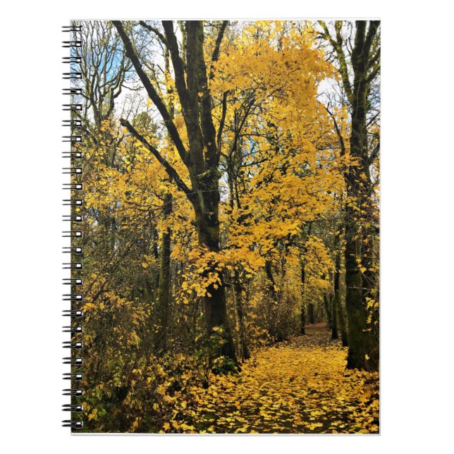 Cuaderno Otoño en el bosque (Frente)