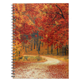 Cuaderno otoño en el bosque