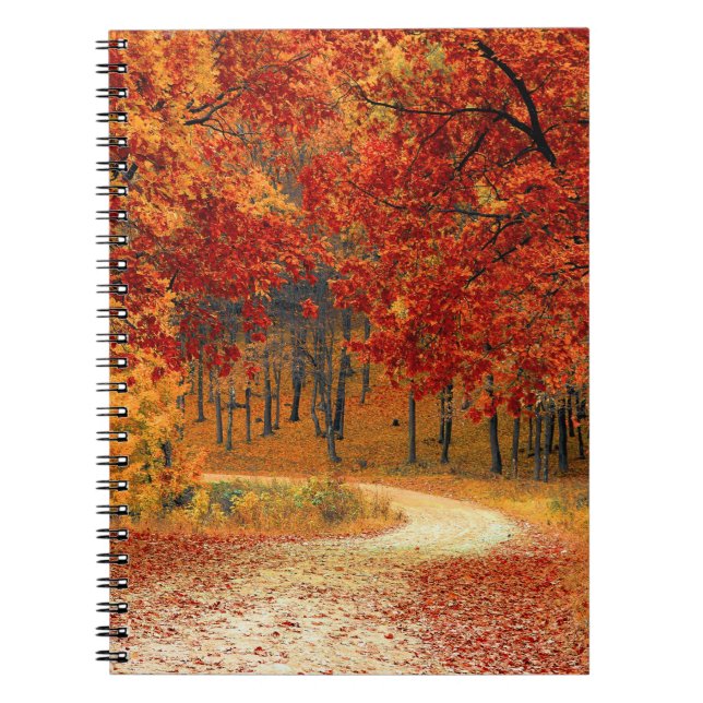 Cuaderno otoño en el bosque (Frente)