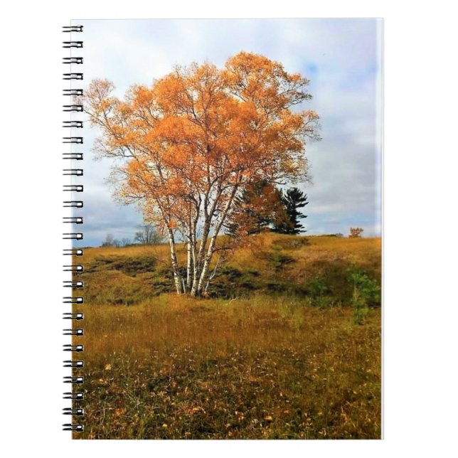 Cuaderno Otoño en el lago Michigan (Frente)