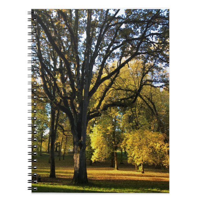 Cuaderno Otoño en el Parque Estatal de Champoeg, OR (Frente)