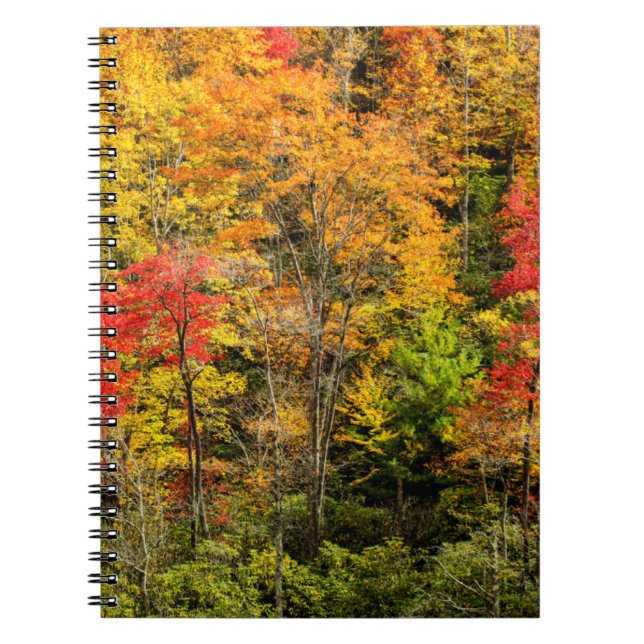 Cuaderno Otoño en Sims Pond North Carolina, Blue Ridge (Frente)
