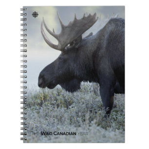 Cuaderno Otoño - Moose