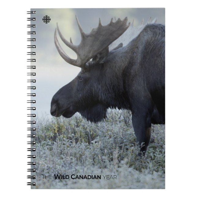 Cuaderno Otoño - Moose (Frente)