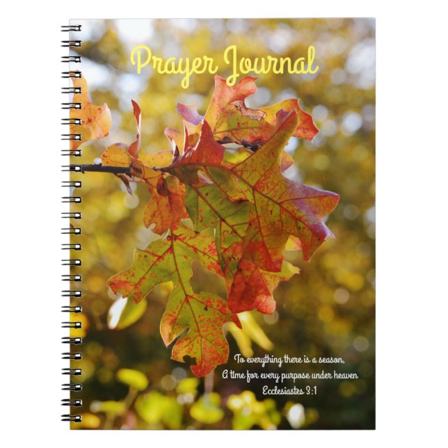 Cuaderno Otoño Sale del Diario de Oración (Frente)