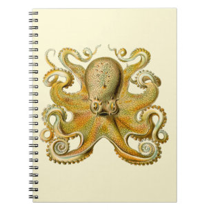 Cuaderno Otopus ilustracion antiguo monstruo del mar