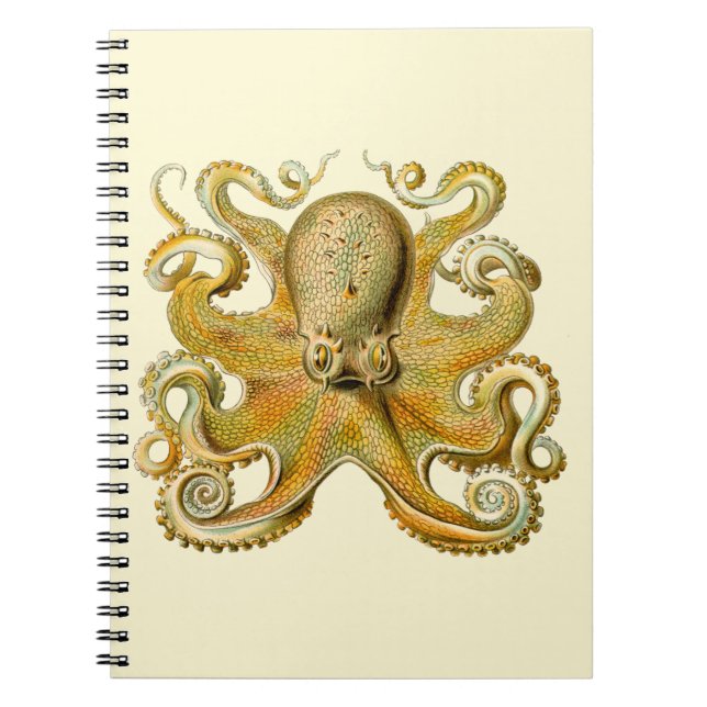 Cuaderno Otopus ilustracion antiguo monstruo del mar (Frente)