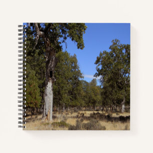 Cuaderno Otro hermoso día......