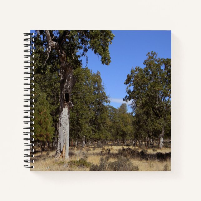 Cuaderno Otro hermoso día...... (Anverso)