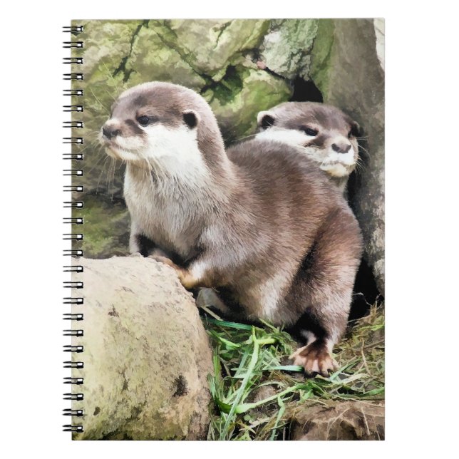 CUADERNO OTTERS (Frente)