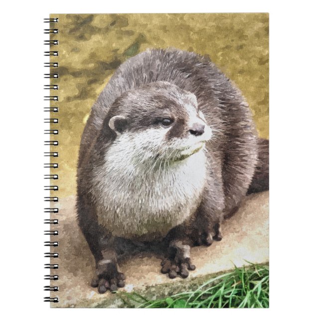CUADERNO OTTERS (Frente)