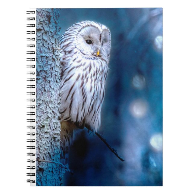 Cuaderno Oveja azul (Frente)