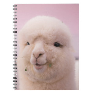 CUADERNO OVEJA BLANCA EN FOTOGRAFÍA CERRADA