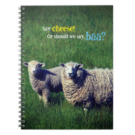 Cuaderno Oveja con cordero en pradera de hierba