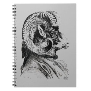 Cuaderno Oveja De Pecado