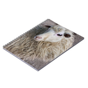 Cuaderno Oveja Divertida