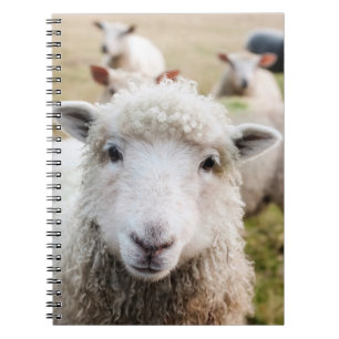 Cuaderno Ovejas
